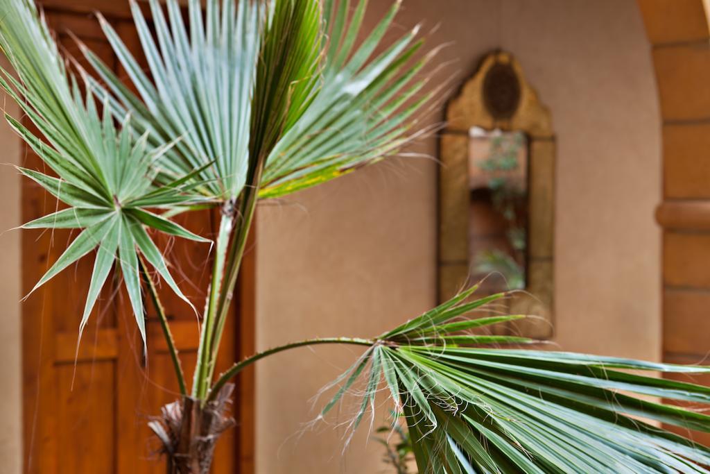 Riad Chbanate Эс-Сувейра Экстерьер фото